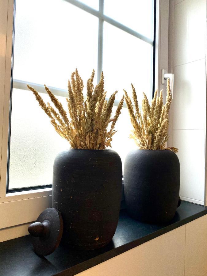 Appartement Scheepers 팔켄뷔르흐안더횔 외부 사진